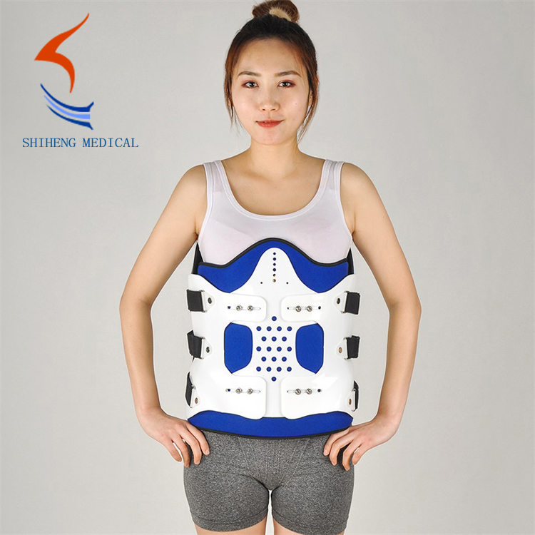 Lumbar Back Brace(Low)